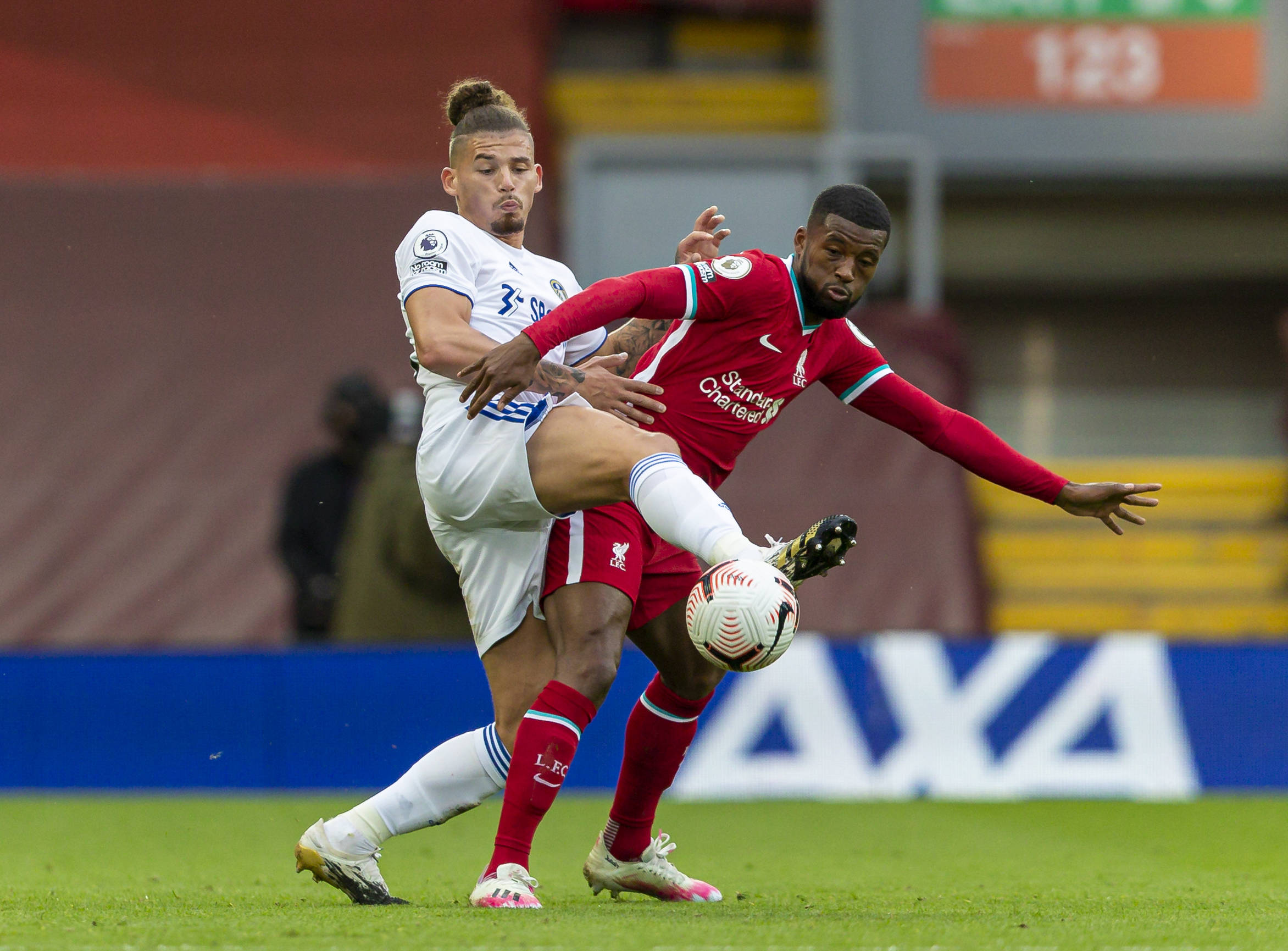 队友的种族 队友的种族